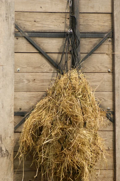 Σανό ως κτηνοτροφικές κρέμασε στο δίχτυ — Φωτογραφία Αρχείου