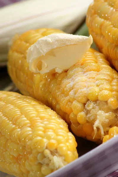 Boiled corn on the cob with butter and salt — Stock Photo, Image