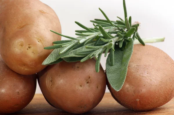 Boiled potatoes with rosemary and sage — Stock Photo, Image