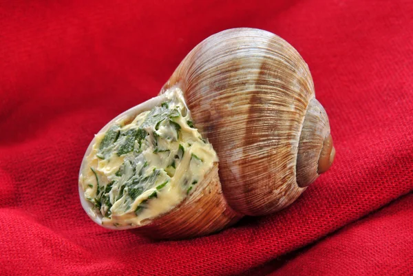 Un caracol con una deliciosa crema de mantequilla de hierbas —  Fotos de Stock