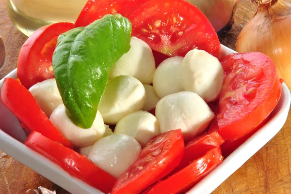 Mozzarella met tomaten en basilicum als salade — Stockfoto