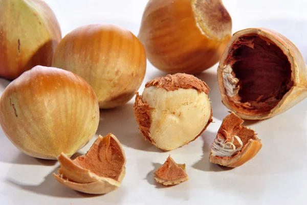 Some fresh hazelnuts on a light background — Stock Photo, Image