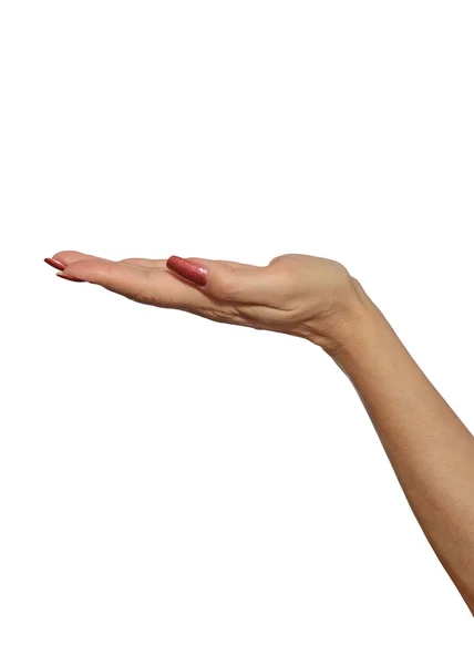 Stödja kvinnliga hand. — Stockfoto