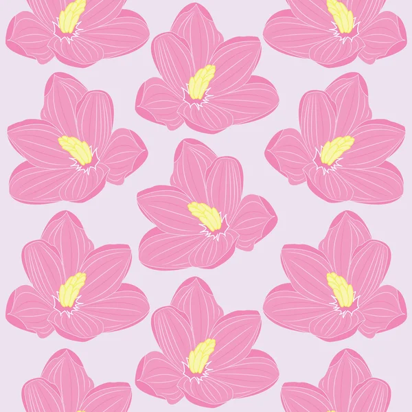 Padrão floral sem costura com flores rosa —  Vetores de Stock