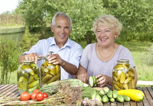Senior loving couple — Stock Image Senior loving couple Stock Photo