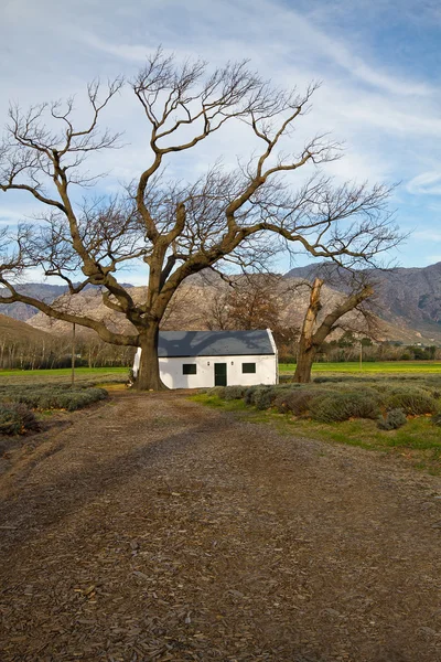 stock image Farm House