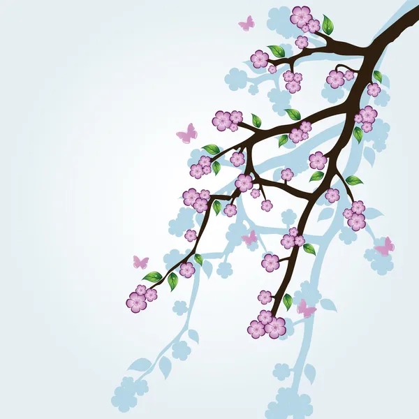 Abstracte achtergrond met sakura branch — Stockvector