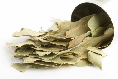 Bay Leaves clipart