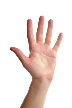 Five Fingers clipart