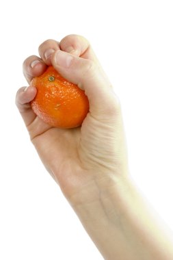 Orange in Hand clipart
