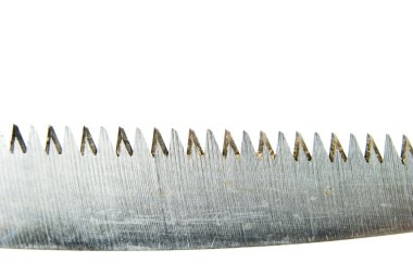 Diş gördüm
