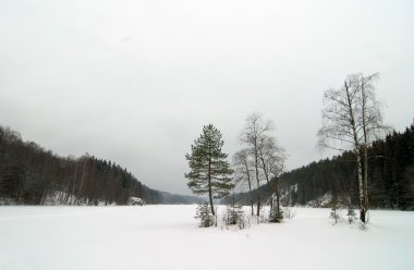 Norveç kış göl manzarası