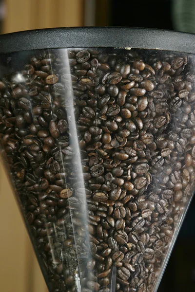 Espresso Beans — Stock Photo, Image