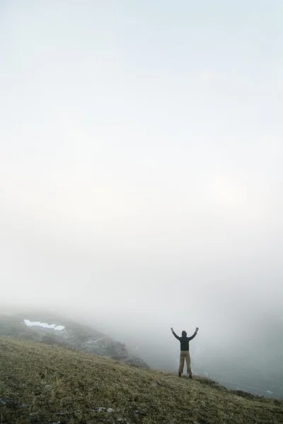 stock image Freedom