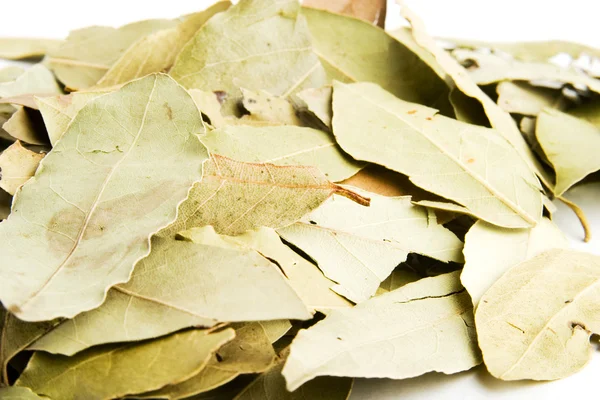 stock image Bay Leaves