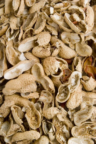 Peanut shell tło — Zdjęcie stockowe