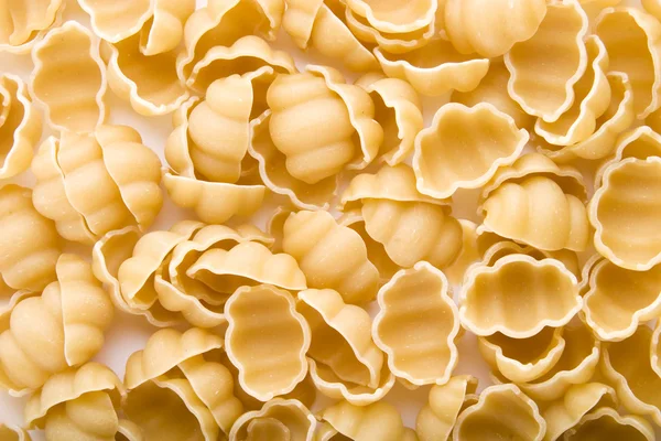 Sea shell pasta bakgrund — Stockfoto