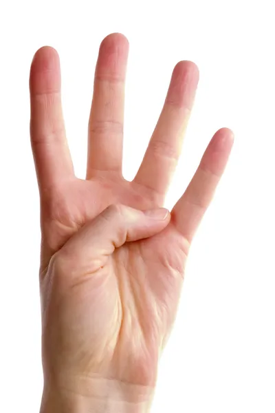 Чотири пальці — стокове фото