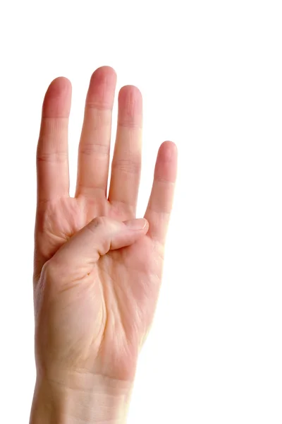 Quatro dedos — Fotografia de Stock