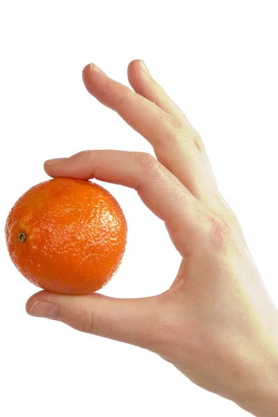 Einfach orange — Stockfoto