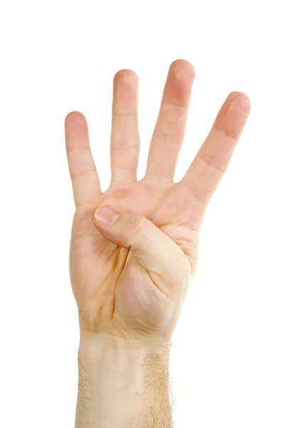 Vier vingers geïsoleerd — Stockfoto