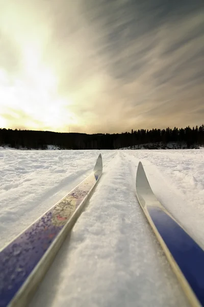 Esqui — Fotografia de Stock