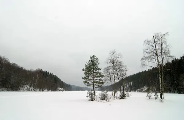 Norwegische winterliche Seenlandschaft — Stockfoto