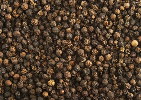 Pepper Background Stock Image