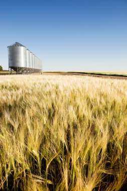 Prairie Harvest clipart