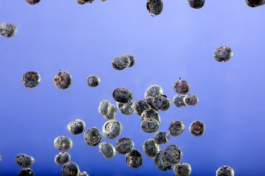 Floating Blueberry Background clipart