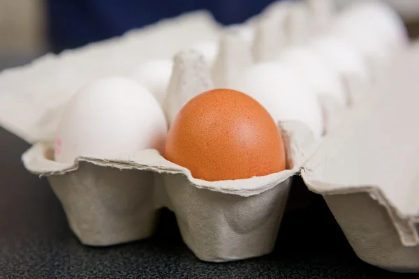 Brown Egg — Stock Photo, Image