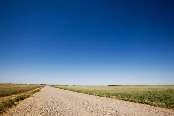 Camino de ripio de la pradera — Foto de Stock