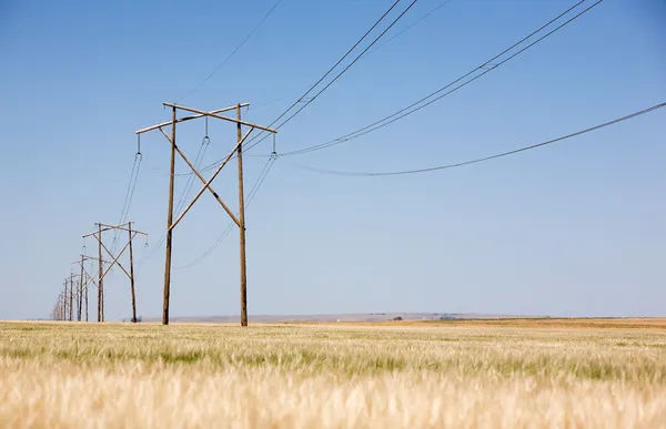 Prairie Power Line — Stock Photo, Image