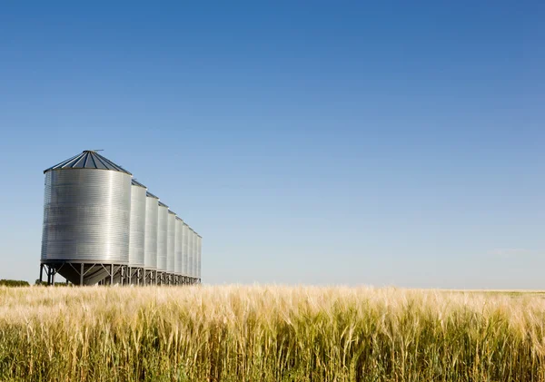 Prairie Harvest — Stock Photo, Image