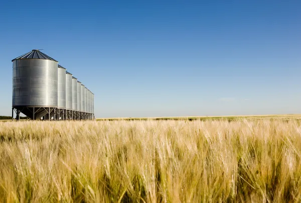 Prairie Harvest Paisagem — Fotografia de Stock