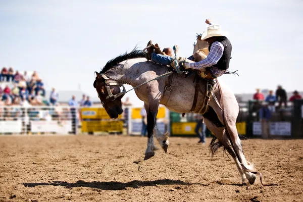 Cowboy rodeo — Foto Stock