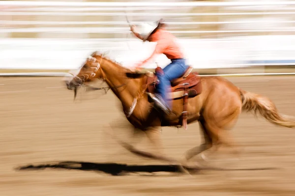Kör häst — Stockfoto