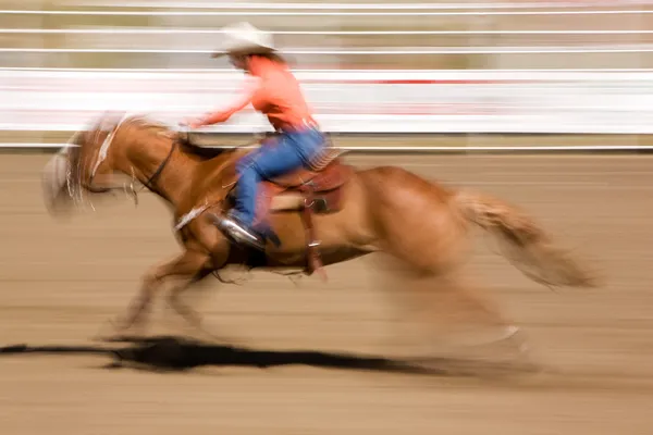 Galopujący koń z cowgirl — Zdjęcie stockowe