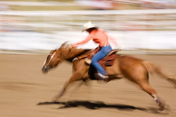 Скоростная лошадь — стоковое фото