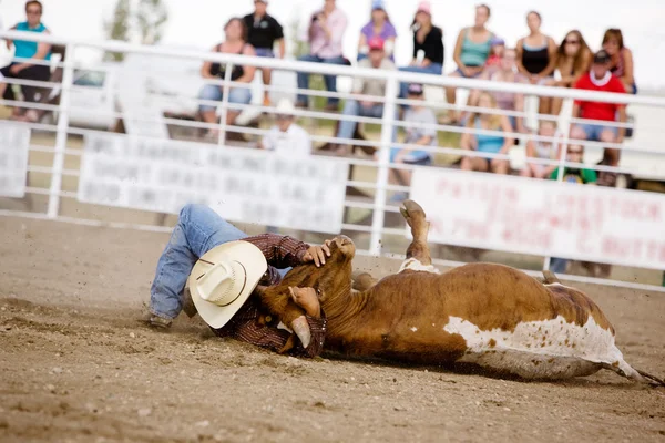 Steer Wrestling — Stock Photo, Image