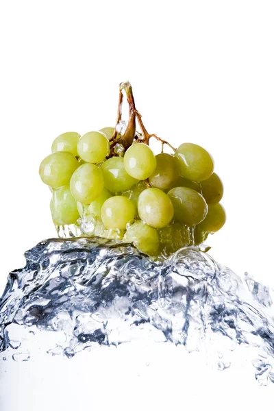 stock image Grapes in Water