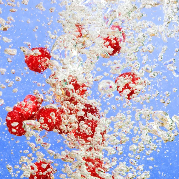 Raspberry Bubble Background — Stock Photo, Image