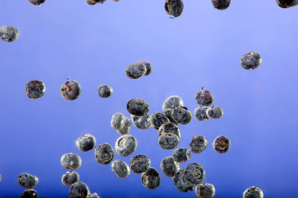 Floating Blueberry Background — Stock Photo, Image