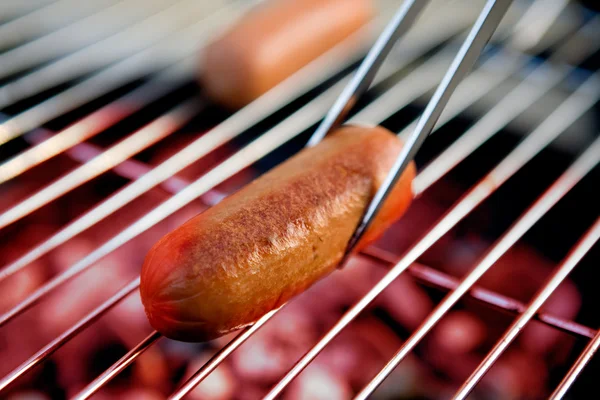 Un hot-dog — Photo