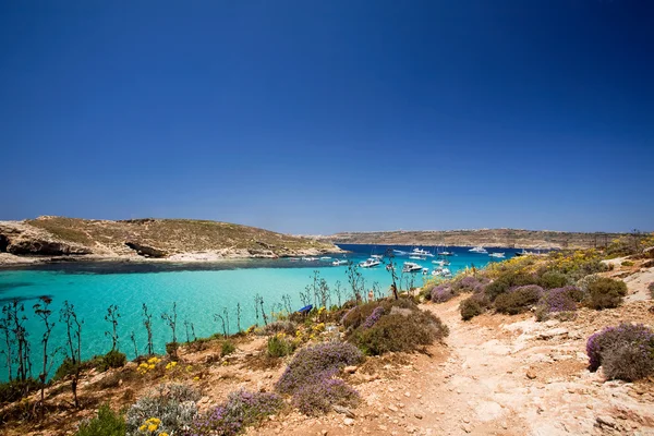 Gozo kék lagúna — Stock Fotó