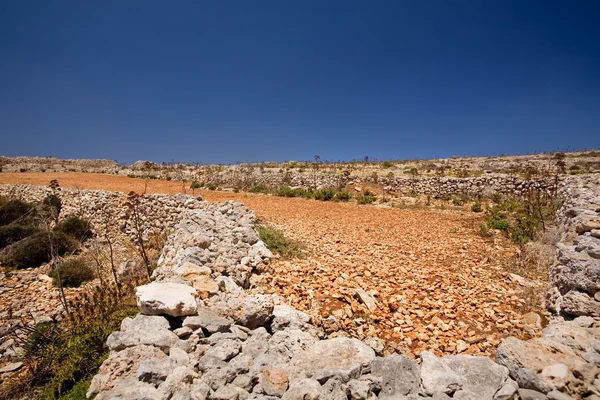 Каменное поле — стоковое фото