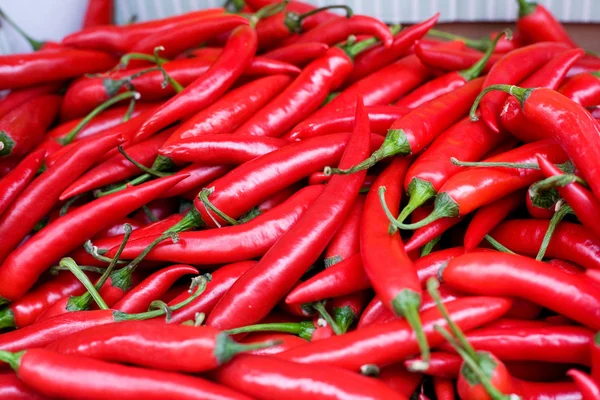 Fresh Hot Peppers — Stock Photo, Image