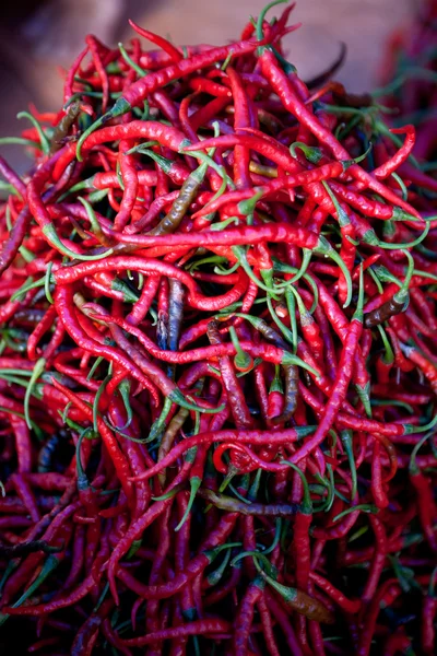 Papryka chili tło — Zdjęcie stockowe