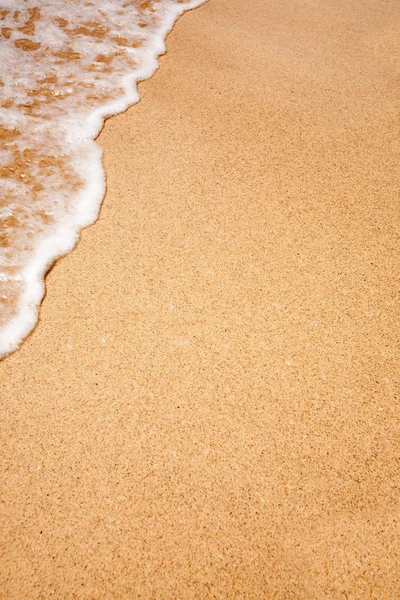 Fond de plage — Photo