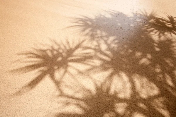 湿砂背景 — 图库照片
